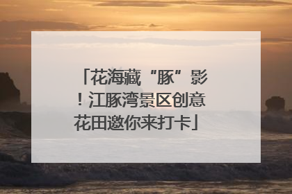 花海藏“豚”影！江豚湾景区创意花田邀你来打卡