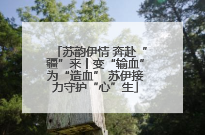 苏韵伊情 奔赴“疆”来丨变“输血”为“造血” 苏伊接力守护“心”生