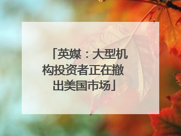 英媒：大型机构投资者正在撤出美国市场