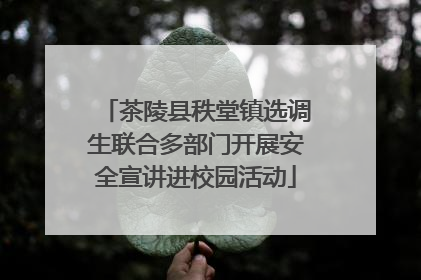 茶陵县秩堂镇选调生联合多部门开展安全宣讲进校园活动