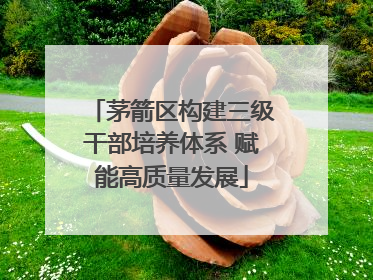 茅箭区构建三级干部培养体系 赋能高质量发展