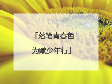 落笔青春色 为赋少年行
