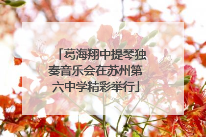 葛海翔中提琴独奏音乐会在苏州第六中学精彩举行