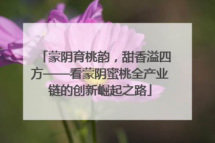 蒙阴育桃韵，甜香溢四方——看蒙阴蜜桃全产业链的创新崛起之路
