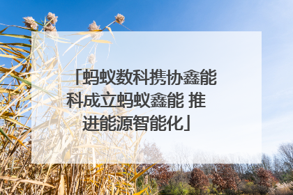 蚂蚁数科携协鑫能科成立蚂蚁鑫能 推进能源智能化