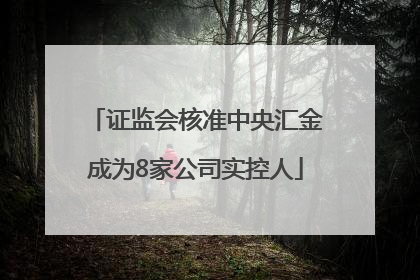 证监会核准中央汇金成为8家公司实控人