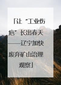 让“工业伤疤”长出春天——辽宁加快废弃矿山治理观察