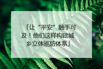 让“平安”触手可及！他们这样构建城乡立体巡防体系