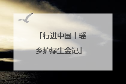 行进中国丨瑶乡护绿生金记