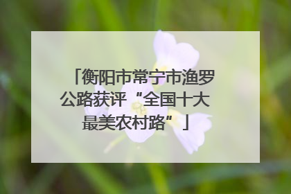衡阳市常宁市渔罗公路获评“全国十大最美农村路”