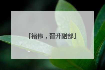 褚伟，晋升副部