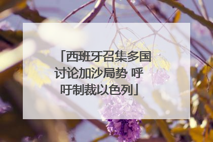 西班牙召集多国讨论加沙局势 呼吁制裁以色列