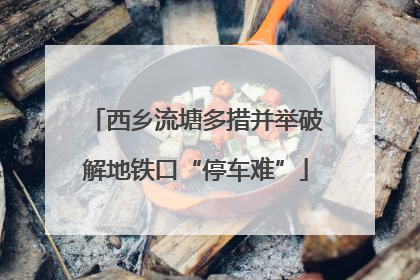 西乡流塘多措并举破解地铁口“停车难”