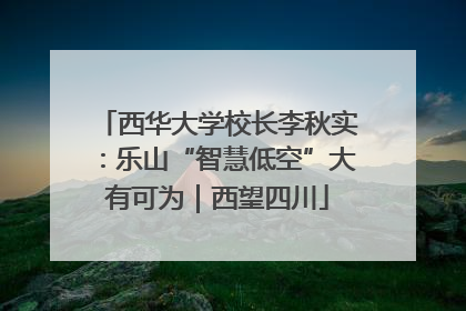 西华大学校长李秋实：乐山“智慧低空”大有可为｜西望四川