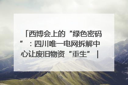 西博会上的“绿色密码”：四川唯一电网拆解中心让废旧物资“重生”｜西博寻“新”记