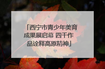 西宁市青少年美育成果展启幕 四千作品诠释高原精神