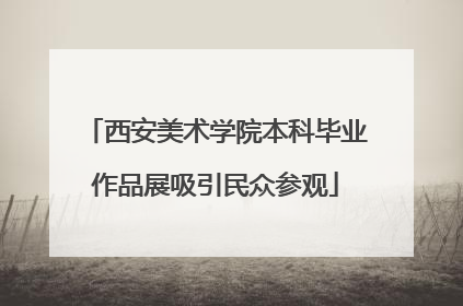 西安美术学院本科毕业作品展吸引民众参观