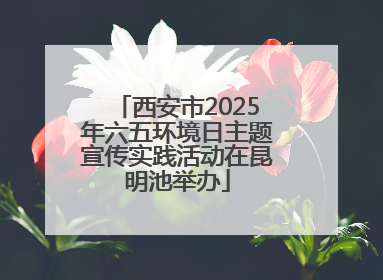 西安市2025年六五环境日主题宣传实践活动在昆明池举办