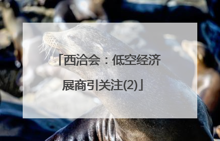 西洽会：低空经济展商引关注(2)