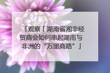 观察丨湖南省湘非经贸商会如何串起湖南与非洲的“万里商路”