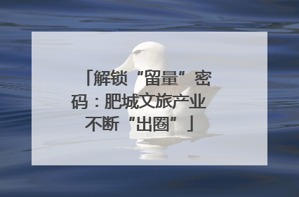 解锁“留量”密码：肥城文旅产业不断“出圈”