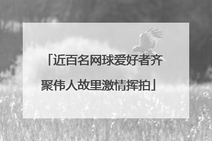 近百名网球爱好者齐聚伟人故里激情挥拍