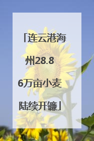 连云港海州28.86万亩小麦陆续开镰