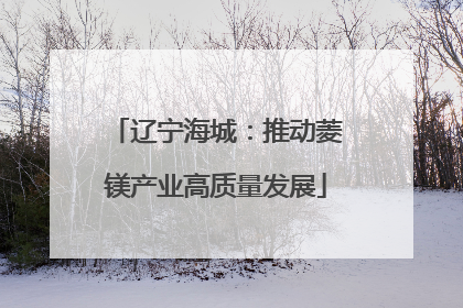 辽宁海城：推动菱镁产业高质量发展