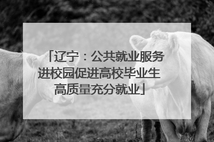 辽宁：公共就业服务进校园促进高校毕业生高质量充分就业