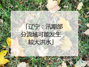 辽宁：汛期部分流域可能发生较大洪水