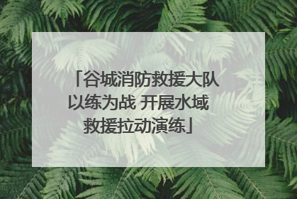 谷城消防救援大队以练为战 开展水域救援拉动演练