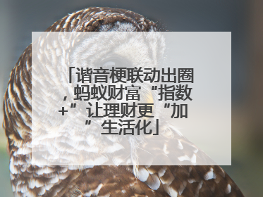 谐音梗联动出圈，蚂蚁财富“指数+”让理财更“加”生活化