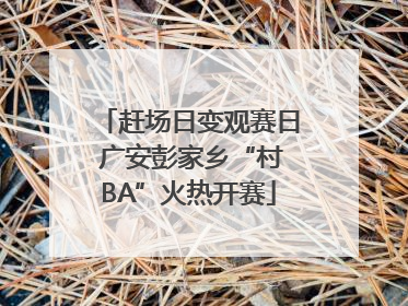 赶场日变观赛日 广安彭家乡“村BA”火热开赛