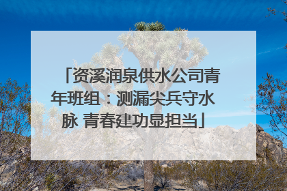 资溪润泉供水公司青年班组：测漏尖兵守水脉 青春建功显担当