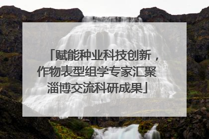 赋能种业科技创新，作物表型组学专家汇聚淄博交流科研成果