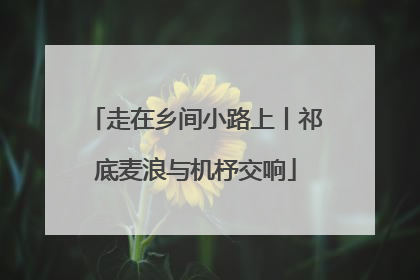 走在乡间小路上丨祁底麦浪与机杼交响