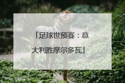 足球世预赛：意大利胜摩尔多瓦