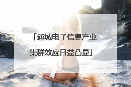通城电子信息产业集群效应日益凸显