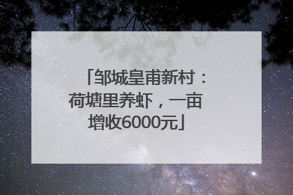 邹城皇甫新村：荷塘里养虾，一亩增收6000元