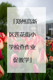 郑州高新区莲花街小学检查作业促教学