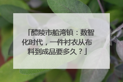 醴陵市船湾镇：数智化时代，一件衬衣从布料到成品要多久？