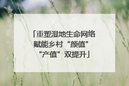重塑湿地生命网络 赋能乡村“颜值”“产值”双提升