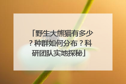野生大熊猫有多少？种群如何分布？科研团队实地探秘