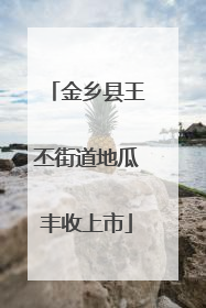 金乡县王丕街道地瓜丰收上市