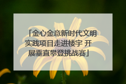 金心金意新时代文明实践项目走进楼宇 开展垂直攀登挑战赛