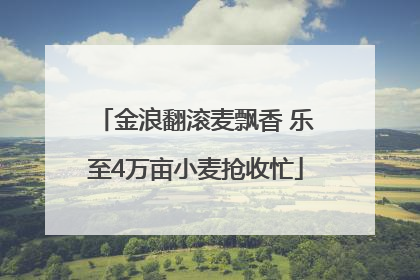 金浪翻滚麦飘香 乐至4万亩小麦抢收忙