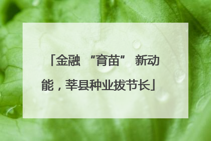 金融 “育苗” 新动能，莘县种业拔节长