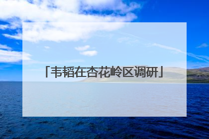 韦韬在杏花岭区调研