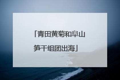 青田黄菊和阜山笋干组团出海
