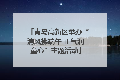 青岛高新区举办“清风拂端午 正气润童心”主题活动